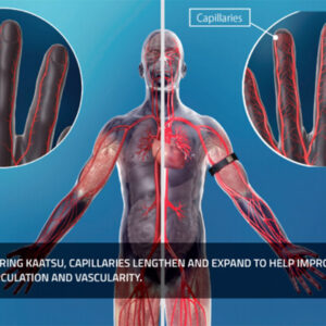 KAATSU Specialist Certification Program