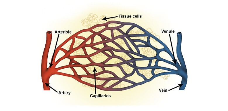 local systematic effects bfr