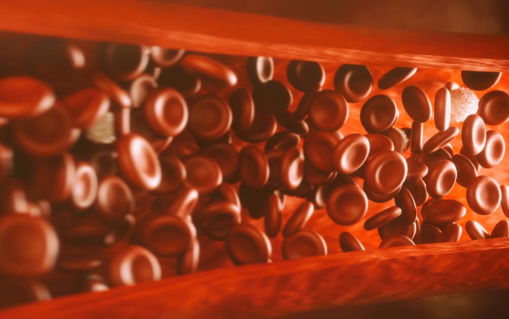 KAATSU Circulation 2: Hyperemia